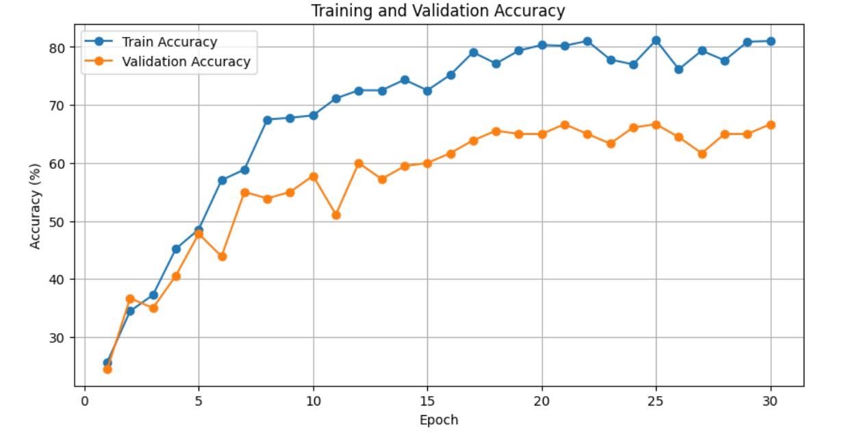 Training and Validation Accuracy