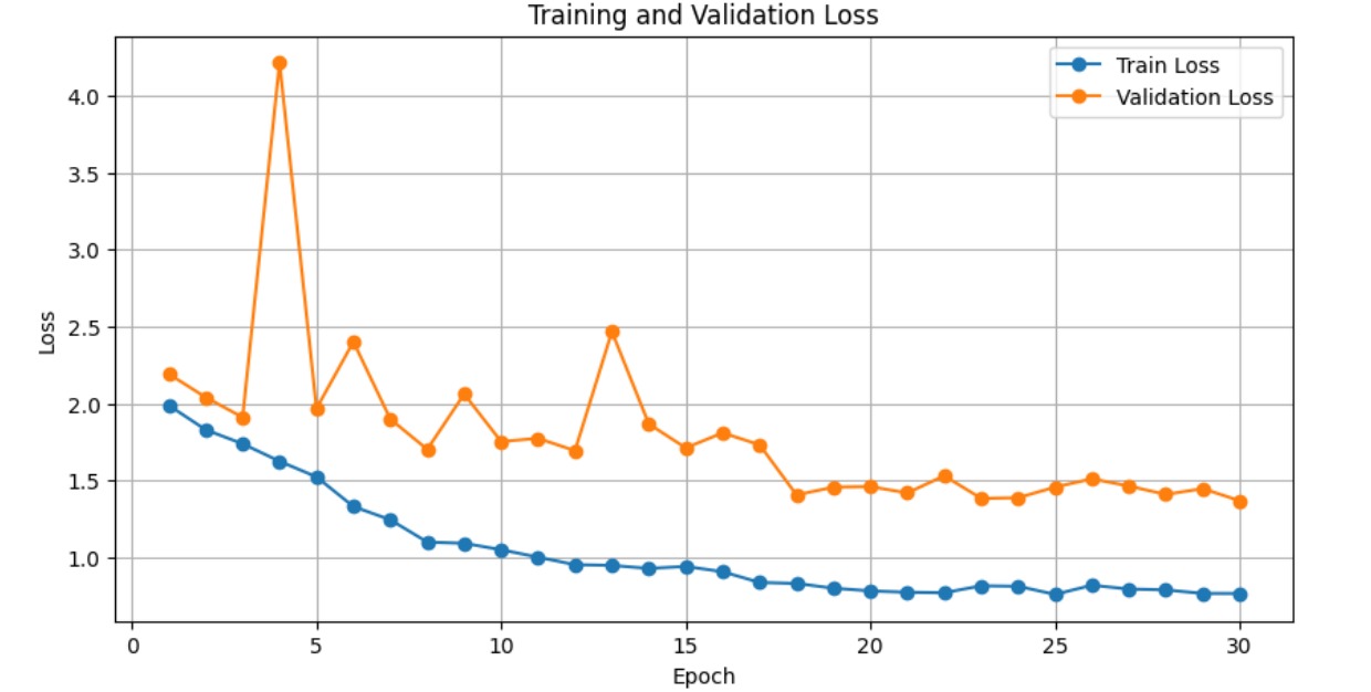Training and Validation Loss